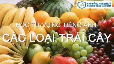 từ vựng tiếng Anh bằng hoa quả